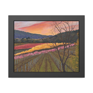 Framed Poster Print: "California Vineyard"