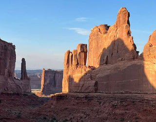 August 22: The Grand Vista - Simplifying Complex Landscapes