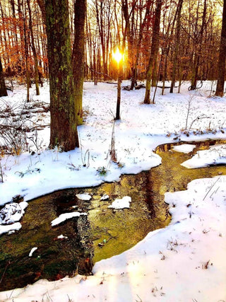 December 5: The Winter Snowscape - Building Depth from Dark to Light
